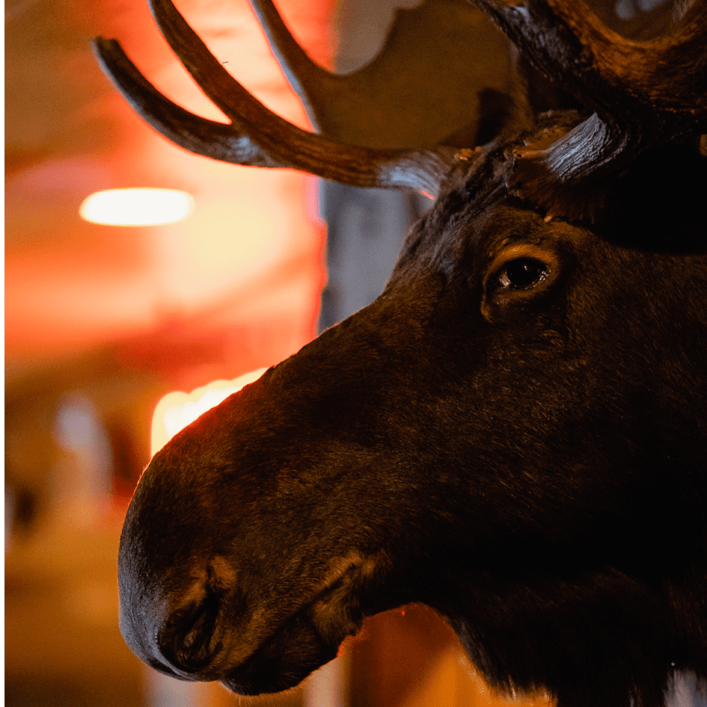The Moose Preserve Bar & Grill (43034 Woodward Ave., Bloomfield Hills) will mark its 25th anniversary with a week-long celebration, kicking off November 9, 2015.