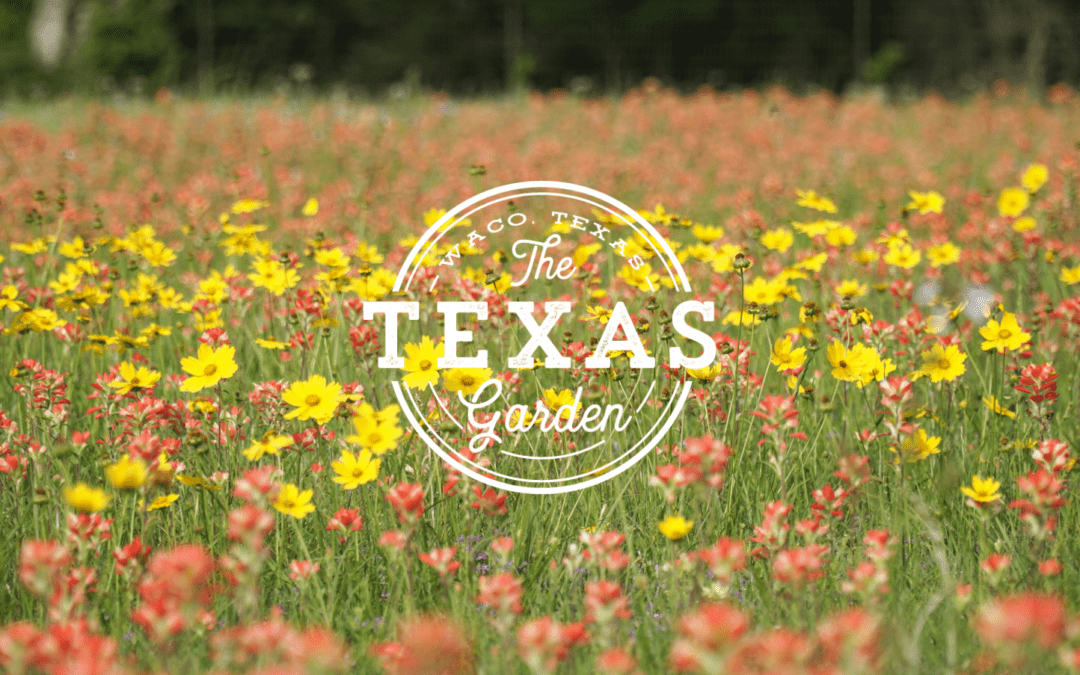 The Texas Garden