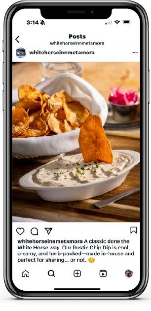 The Wine Poor - catalog design